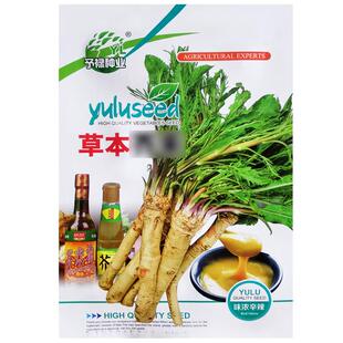 辣根种子寿司烧烤调料种籽四季驱寒春秋阳台盆栽庭院蔬菜种孑