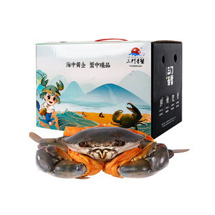 [礼券]三门青蟹鲜活特大红膏蟹海鲜礼盒公母对蟹(7-8两/只)1对2只