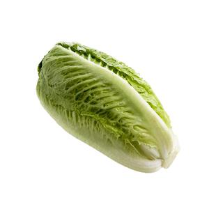 【廊下滋味】包心罗马生菜500g 罗纹凯撒生菜 黄心罗马嫩罗马生菜