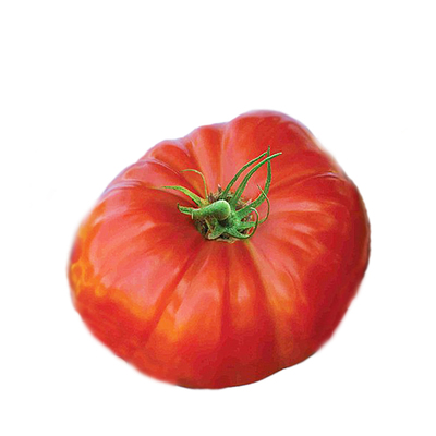 巨型牛排大番茄种子传统特色种苗