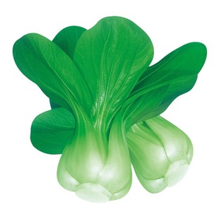 正宗上海青种子小青菜四季油菜籽种蔬菜种籽孑南方全矮脚黑叶苏州