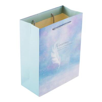 生日情人节毕业520礼品袋