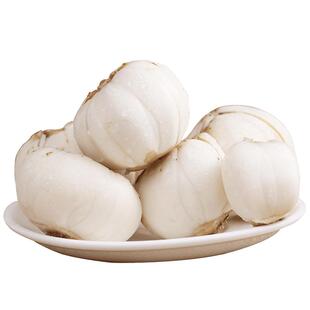 正宗原产地 当季兰州百合食用新鲜甜百合现挖蔬菜1斤整箱500g包邮