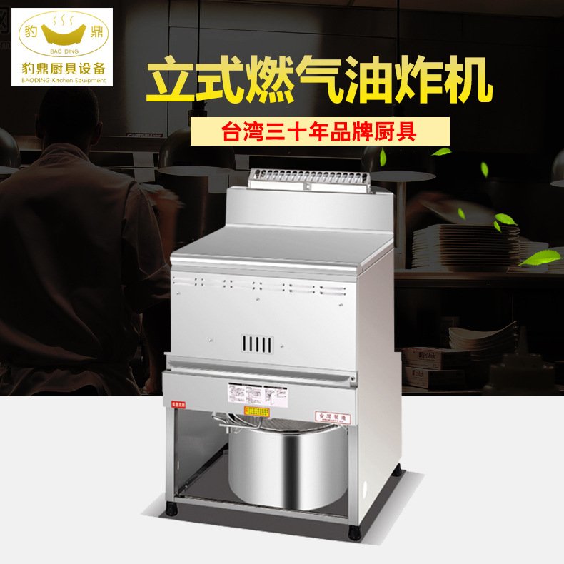 厂家直供餐厅油炸食品设备 立式燃气油炸机 不锈钢快速油炸机