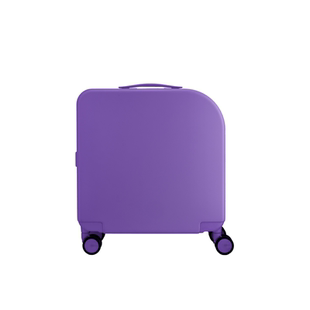 alloy/乐几新款PICNIC紫色条纹行李箱休闲时尚旅行箱密码锁登机箱