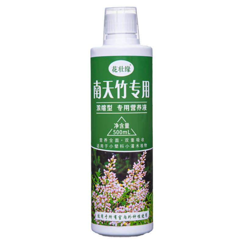 南天竹专用肥治黄叶干枯营养液