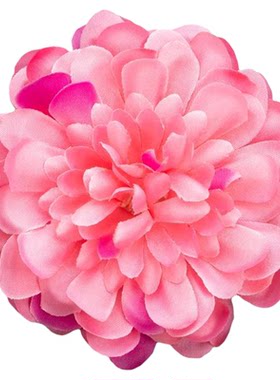 舞蹈家协会六级唱花儿的花儿手花