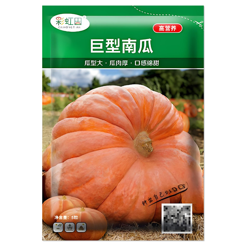 美国巨型南瓜种子观赏食用