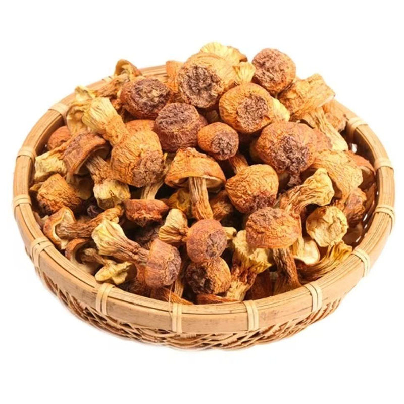 姬松茸500g食用菌菇蘑菇松茸菌