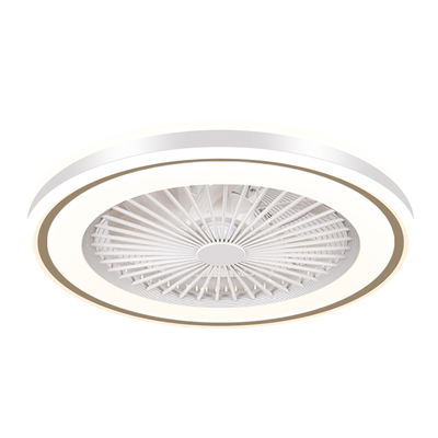 爱美者吸顶风扇灯现代简约电扇灯