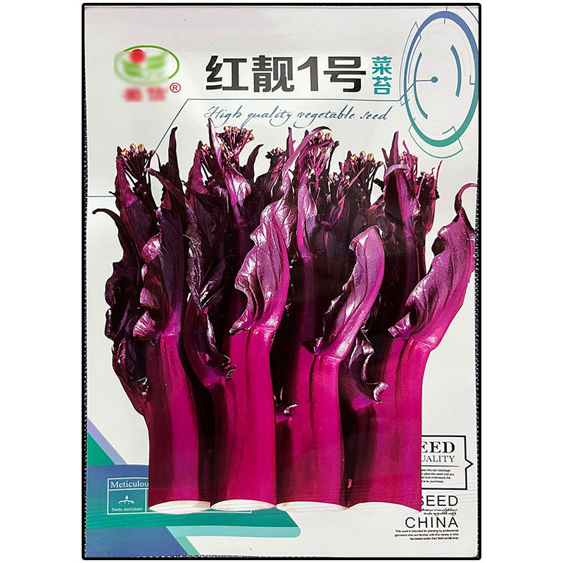 红靓1号10g红菜苔种子孑籽高产粗