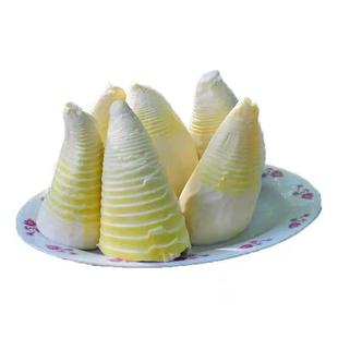 竹笋冬笋新鲜水煮笋竹笋春笋蔬菜火锅清水笋楠竹笋火锅笋麻辣烫