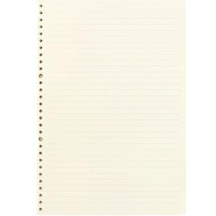 100张道林活页纸A4/30孔 B5/26孔 A5/20孔活页本可拆卸活页替芯空白方格本网格子英语活页笔记本本子内页芯纸