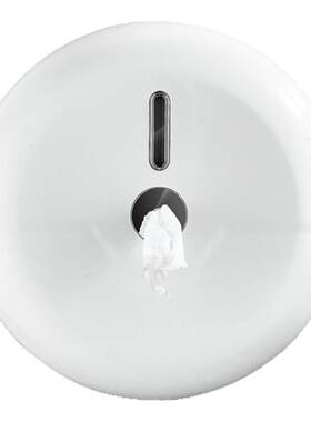 壁挂式免打孔大盘擦手商用中心抽