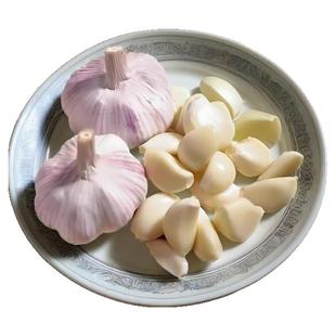 【秒杀款】今年新干蒜5斤2斤大蒜头农家新大蒜头250g起紫白皮1斤
