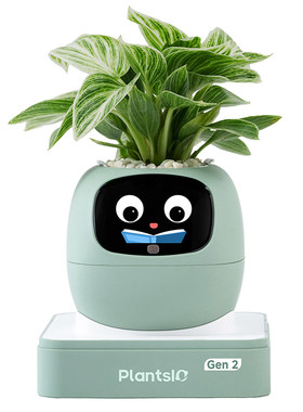【植物萌宠机器人】IVY智能花盆AI绿植桌面摆件送朋友礼物高级感