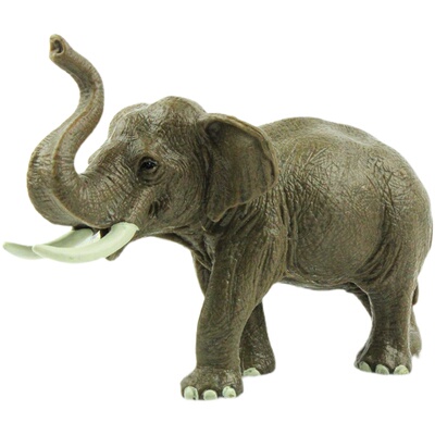 长颈鹿鳄鱼北极熊老虎模型