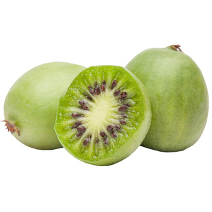 天狼 软枣猕猴桃 易养护家庭园艺可食用果树果苗