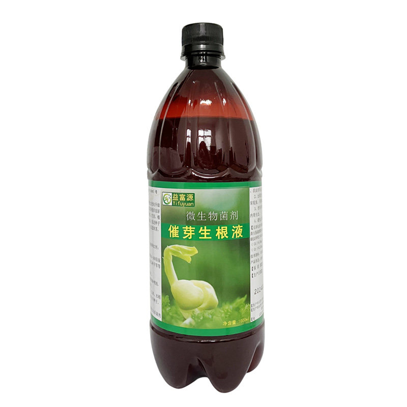 催芽生根液生姜黄精白芨育苗移栽