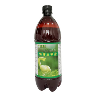 益富源催芽生根液粉泡种子发芽剂壮根辣椒拌种育苗壮苗小苗移栽