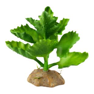 宠物蜥蜴仿真植物装饰摆件生态绿植爬虫饲养箱陆龟守宫爬宠箱造景