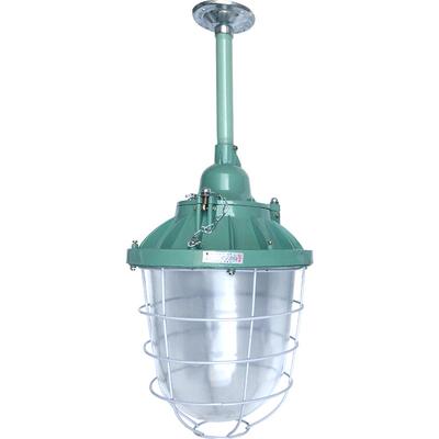 国标低压24v36v48v85vLED防爆灯