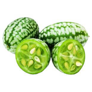 迷你拇指西瓜种子春夏秋冬四季水果种籽盆栽阳台蔬菜种子易种