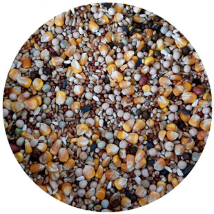 A级营养鸽粮鸟食赛飞信鸽肉鸽鸽子饲料5斤有玉米鸽粮食保健砂包邮