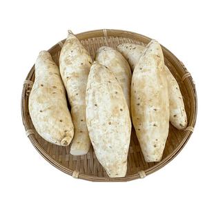 牛奶人参薯白皮白肉新鲜红薯超粉番薯香甜白心板栗薯现挖地瓜山芋