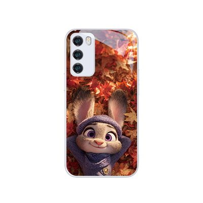 氛围感枫叶朱迪尼克情侣手机壳