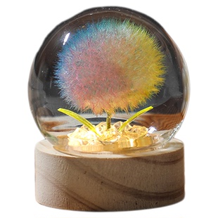 发光蒲公英永生干花束小夜灯玻璃罩生日礼物女生送女孩女朋友实用