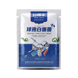 白僵菌 球孢白僵菌 金龟子绿僵菌卵孢白僵菌粉剂