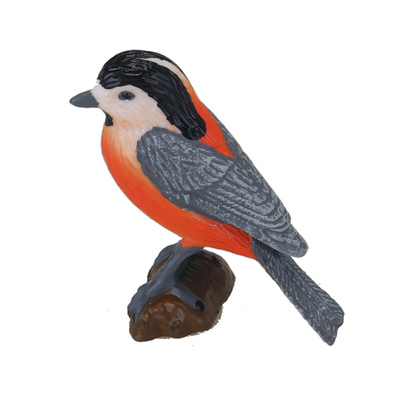 儿童仿真鸟类红腹灰雀模型玩具