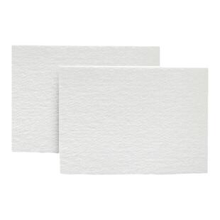 BIOSHARP LIFE SCIENCES 白鲨 BS-TPB/TPL/TPW-01/02/03 转印滤纸 0.3/0.6/1mm  16张/盒 100张/盒