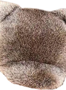 秋冬保暖兔毛猫耳小熊鸭舌帽女