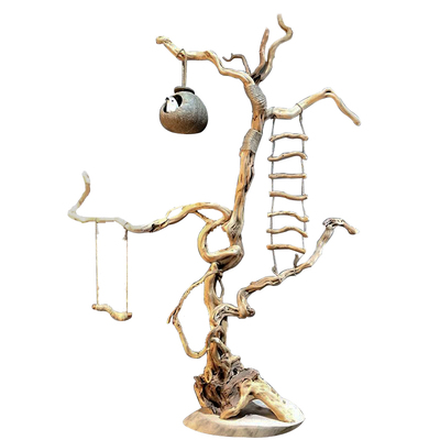 鹦鹉秋千站架鹦鹉站架桌面鸟架站架小鸟站架树枝鸟架玄凤鹦鹉架子