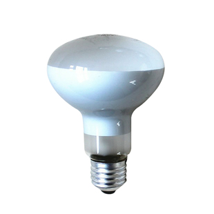 爆米花机灯泡100W专用保温灯泡加热保酥脆60瓦防爆暖光照明取暖灯