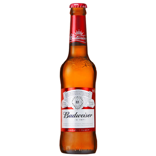 百威瓶装啤酒 Budweiser新货美式拉格经典醇正330ml24瓶国产整箱