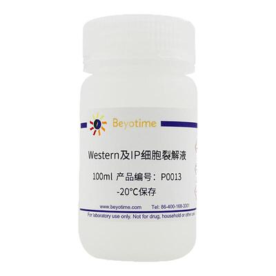 碧云天Western及IP细胞裂解液