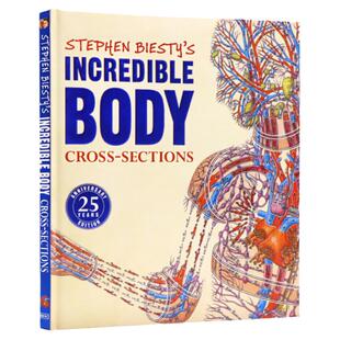 DK 不可思议的大剖面之人体的秘密 英文原版 Stephen Biesty's Incredible Body Cross sections 儿童身体科普百科读物25周年版