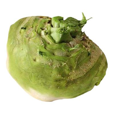 辣疙瘩秋季大头菜种子