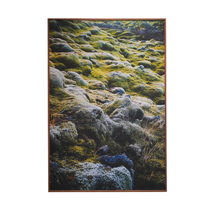 【定制画】燕子摄影作品定制 专业级艺术微喷挂画 榫卯实木画框