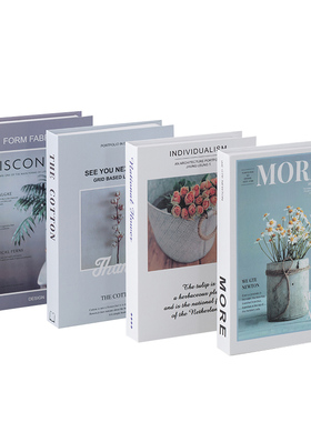 现代简约样板间电视柜装饰书摆件