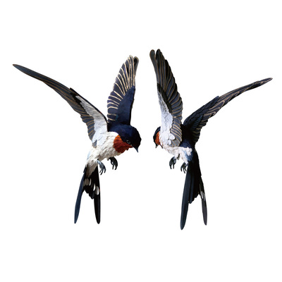 tlp反光车贴心情切片贴纸