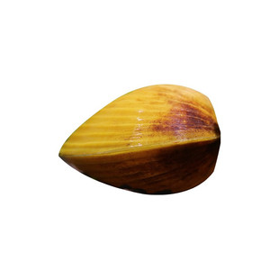 鱼官儿蜗牛观赏螺除藻清理垃圾苹果斑马杀手螺黑金刚蜜蜂角橙兔螺