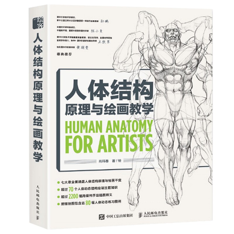 人体结构原理与绘画教学