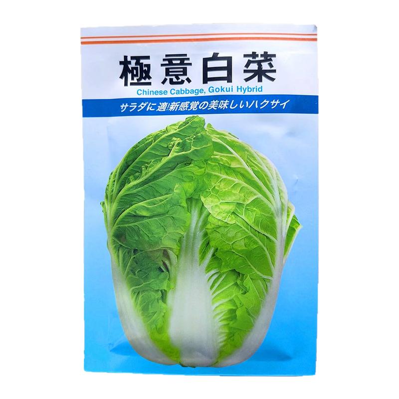 蔬菜籽进口极意白菜种子10克抗热