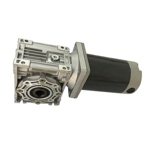 DC12v24v36v48v220v伏无级调速直流电机RV涡轮减速机双轴有刷马达