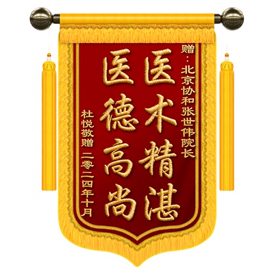 【顺丰包邮】高档刺绣锦旗定制