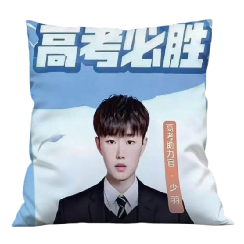 少羽抱枕必胜高考助力官恶搞生日沙发靠垫抽象书包抽象学生礼物